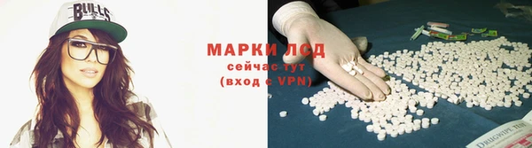 spice Беломорск
