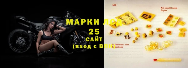 шишки Баксан