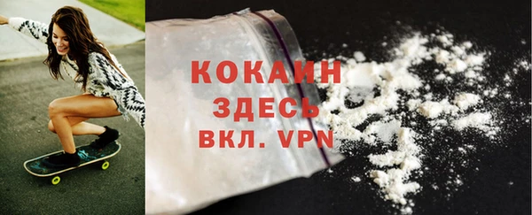шишки Баксан